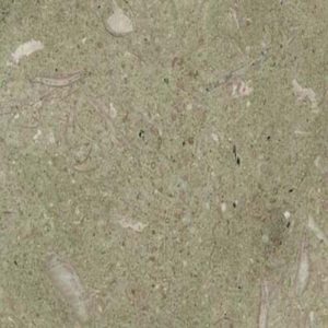 Seagrass Limestone